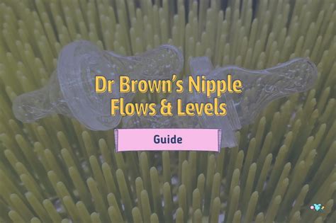 dr brown nipple|Dr Brown Nipple Flows & 6 Levels [Comprehensive。